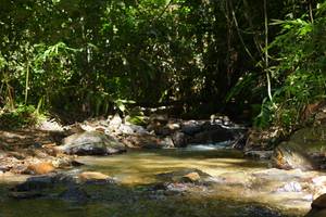 BIB: 
                            <button type="button" onclick="openModal(21853355)" class="btn btn-primary btn-sm float-right btn-popup" data-toggle="modal" data-target=".modal-high-quality">
                        <i class="fas fa-shopping-cart"></i> Add to Cart
                    </button>
                                            <button type="button" onclick="isThisMe(21853355, true)" class="btn btn-success btn-sm float-right btn-popup btn-isme hidden" data-toggle="tooltip" data-placement="bottom" title="นี่คือรูปของคุณใช่ไหม คลิกที่นี่เพื่อเอาเข้าอัลบั้ม">
                        <i class="fas fa-plus"></i> Add to album
                    </button>
                    <button type="button" onclick="isThisMe(21853355, false)" class="btn btn-warning btn-sm float-right btn-popup btn-isnotme hidden">
                        <i class="fas fa-ban"></i> Remove from album
                    </button>